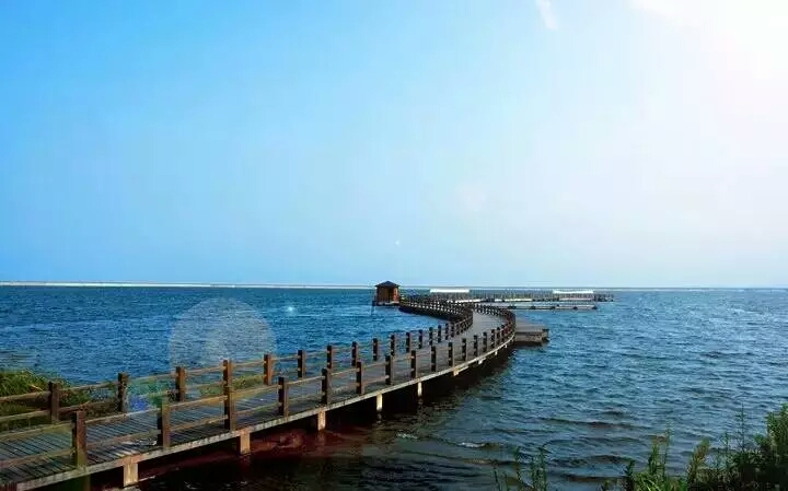 碧海金沙地处奉贤区海湾旅游区,拥有水域65万平方米,沙滩8万平方米,是